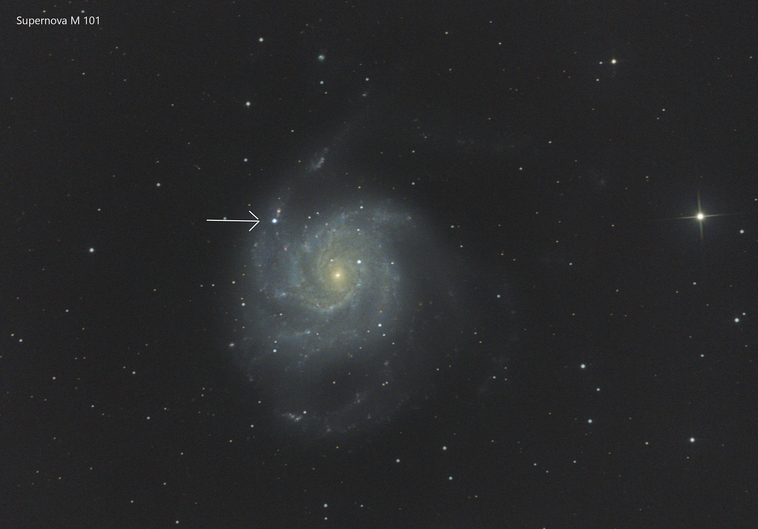 M101web-neu